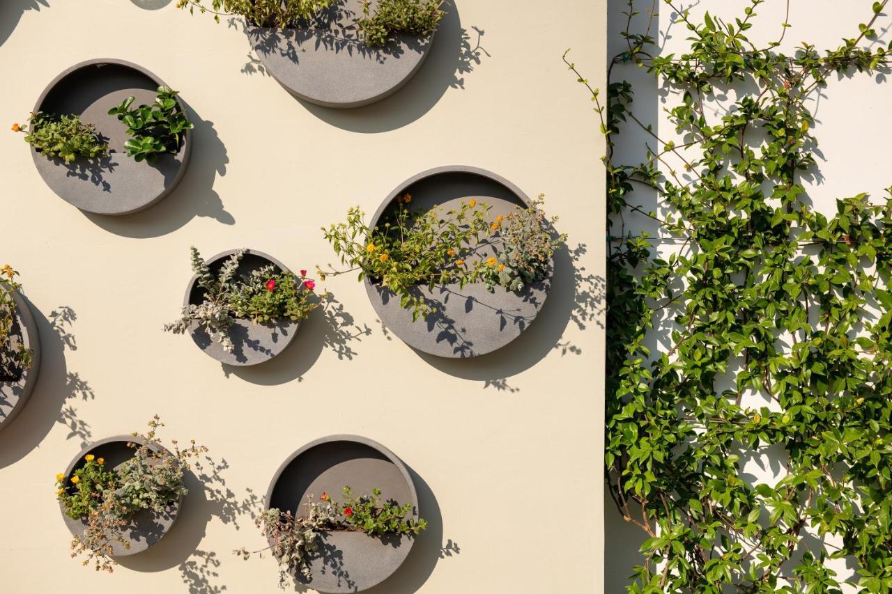 Alkima Athens Hotel Kültér fotó